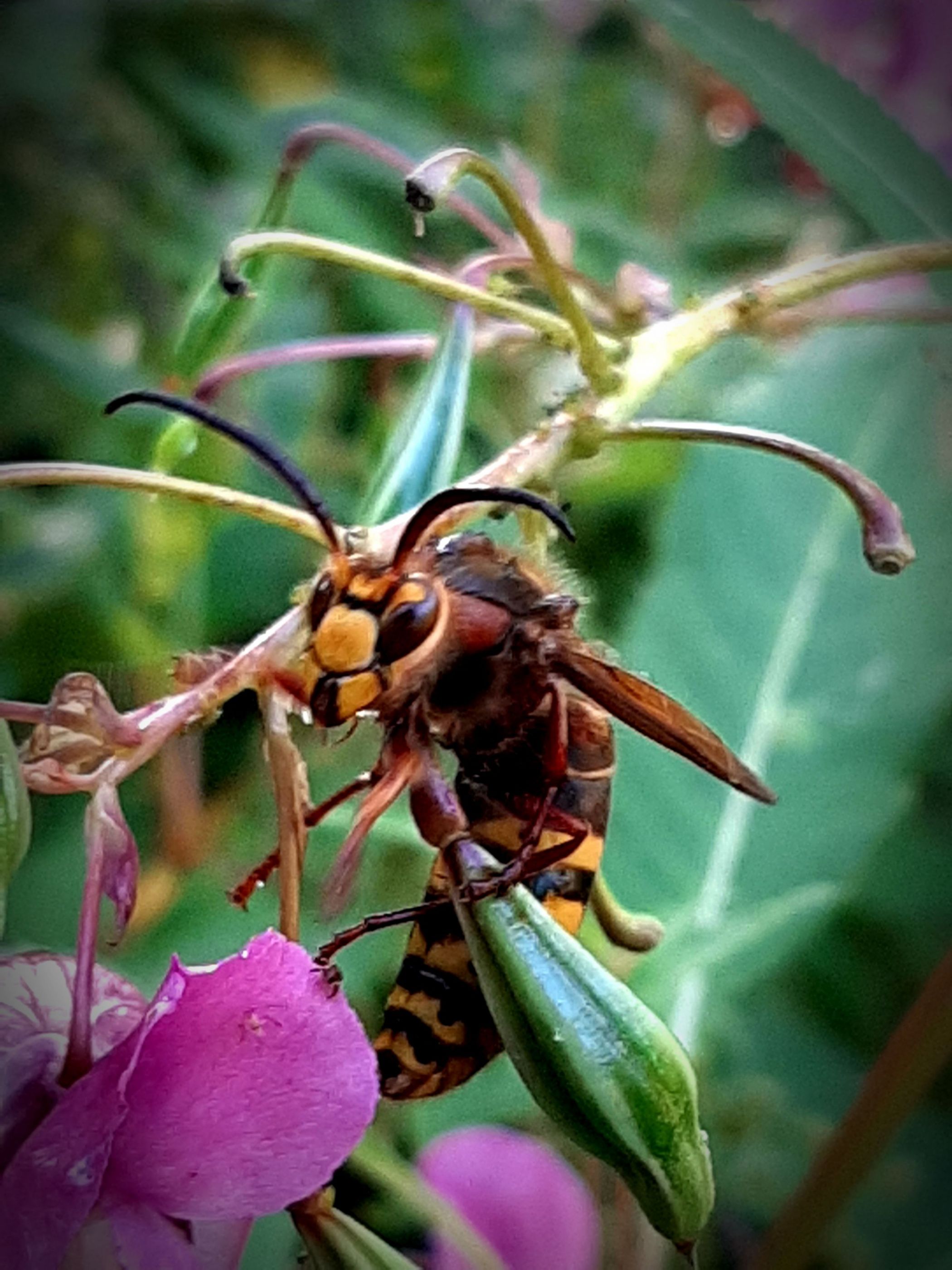 inbound2256658642238987830