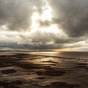 26A583E5-E2A1-4014-9D5F-E3B586F5664B