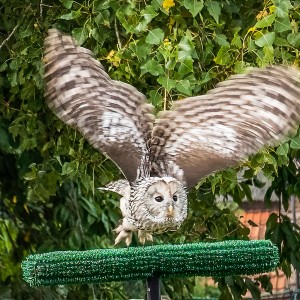 2679B6C7-832E-4B32-AE9B-DE5437579EF1