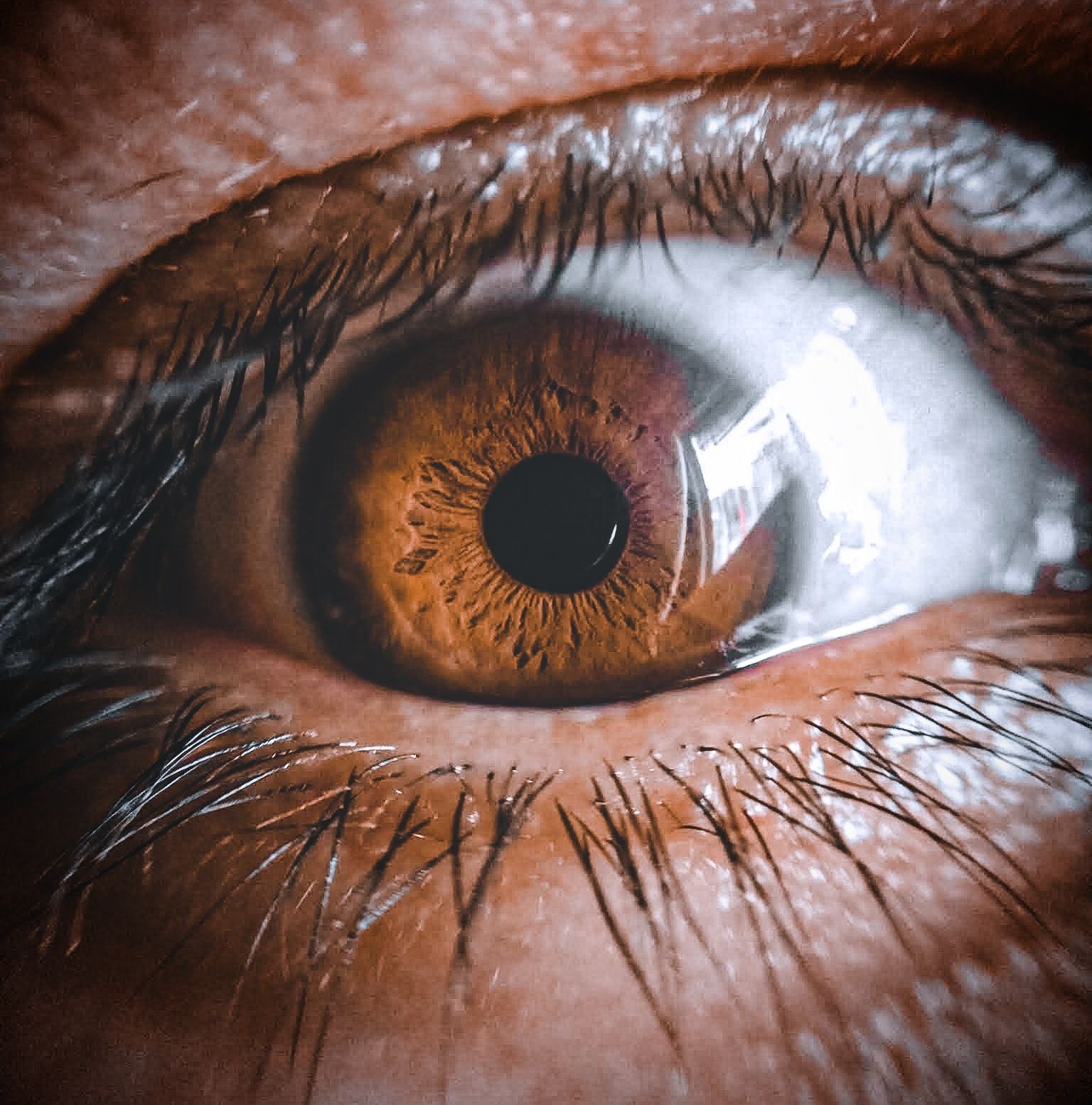 IMG_20210306_180213_525