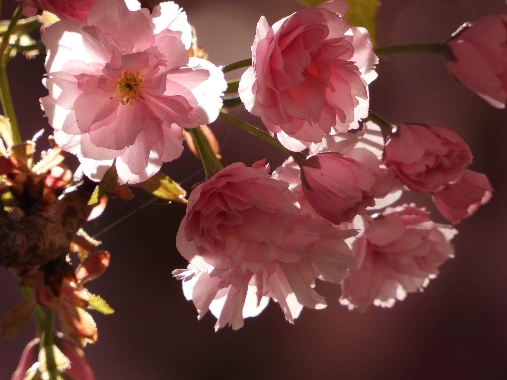 inbound1982627040756909791