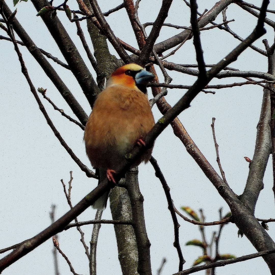 inbound1661890430890190813