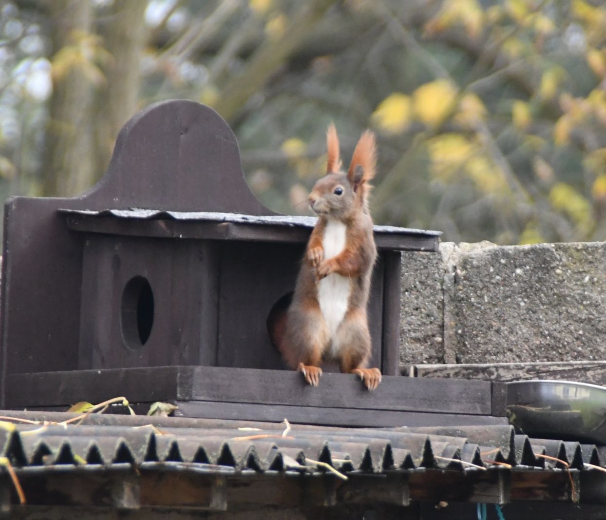 inbound8467968906445924483