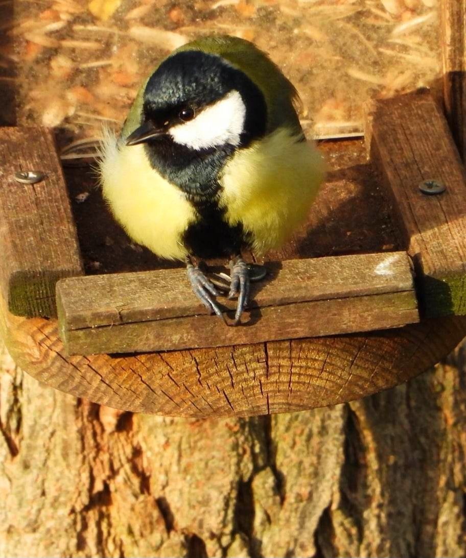 IMG_20230330_174630_787