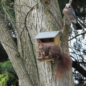 inbound1794944693783434344