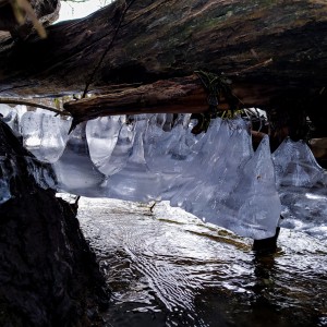 Eis über der Donau