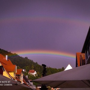 Regenbogen 🌈