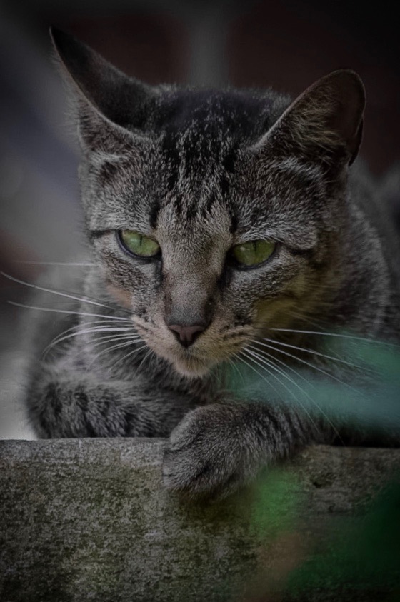 F4E407CC-A0E6-4CD7-823C-0BFAE47AE31B