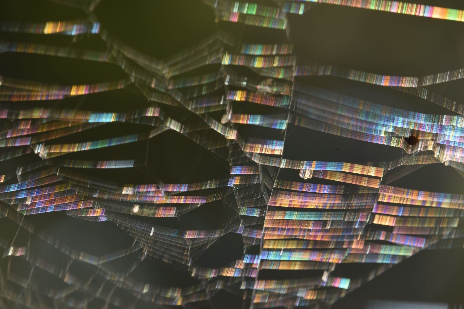 01bc5905-c10f-4156-8114-db4a8c727a20-1_all_5144