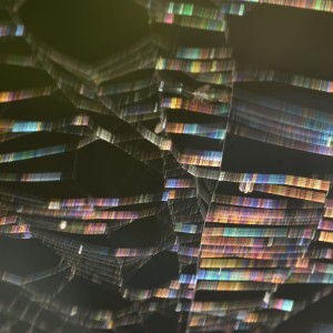 01bc5905-c10f-4156-8114-db4a8c727a20-1_all_5144