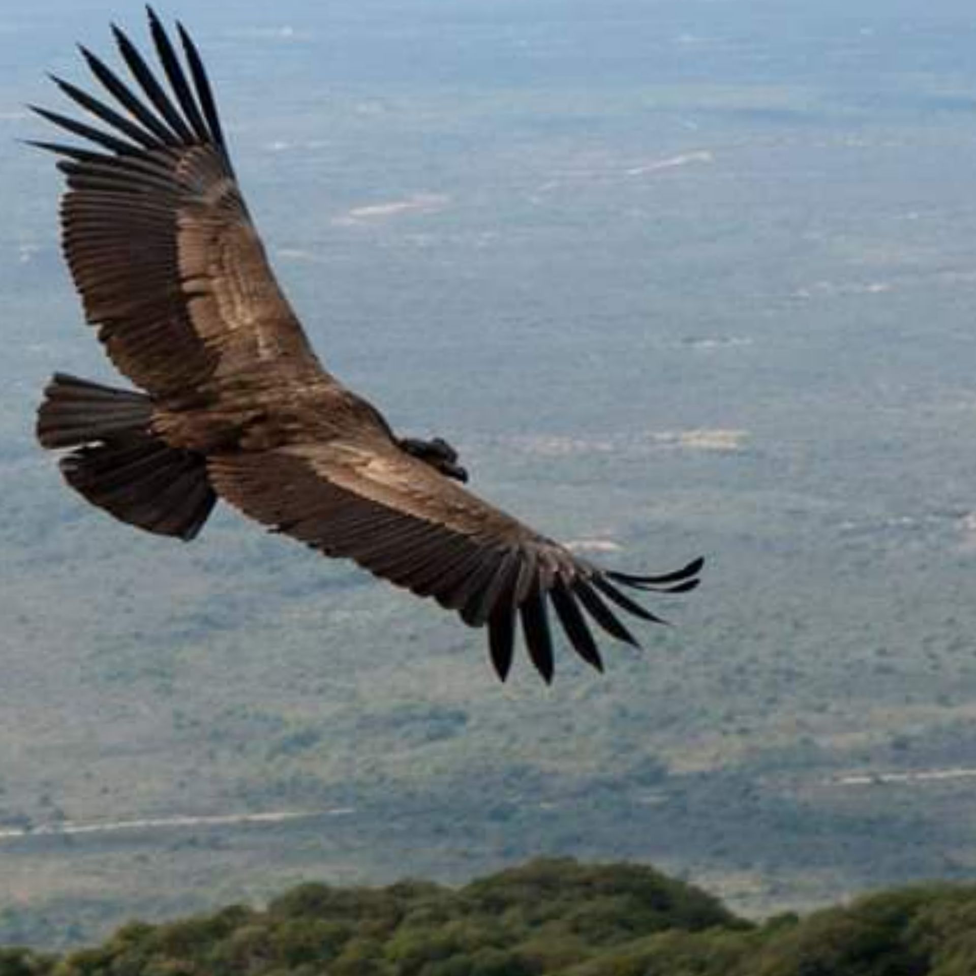 InShot_20210318_075042320