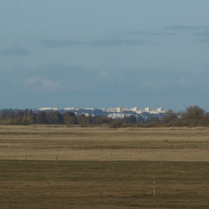 Gorzów z daleka