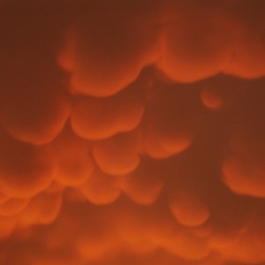 image11