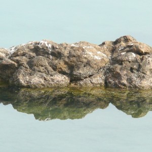 P1650738