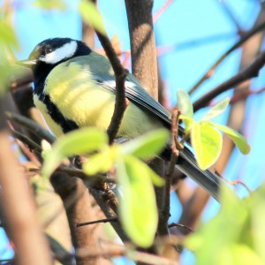IMG_9465