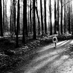 Walk in forest