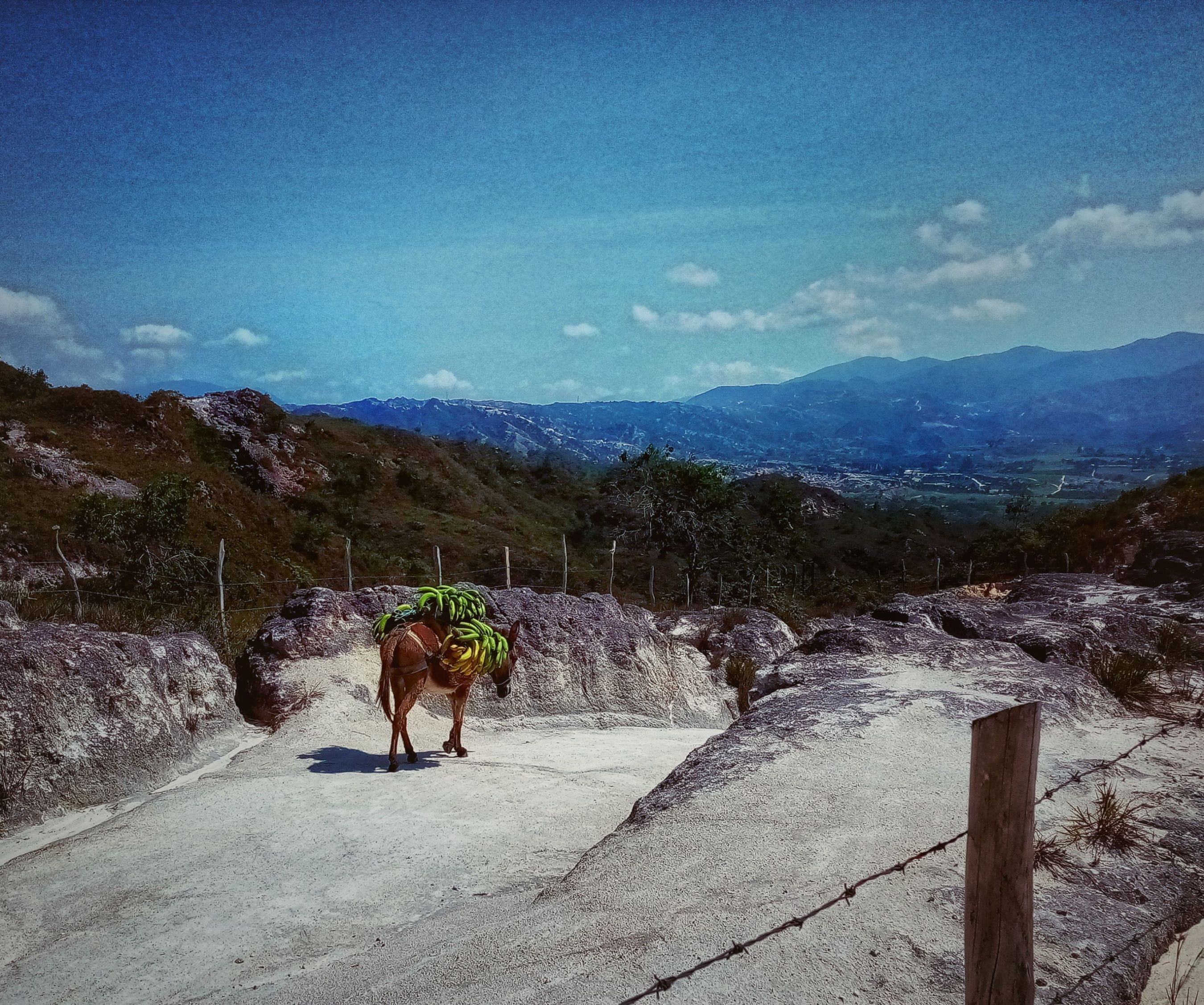 IMG_20210421_094202_DRO-01