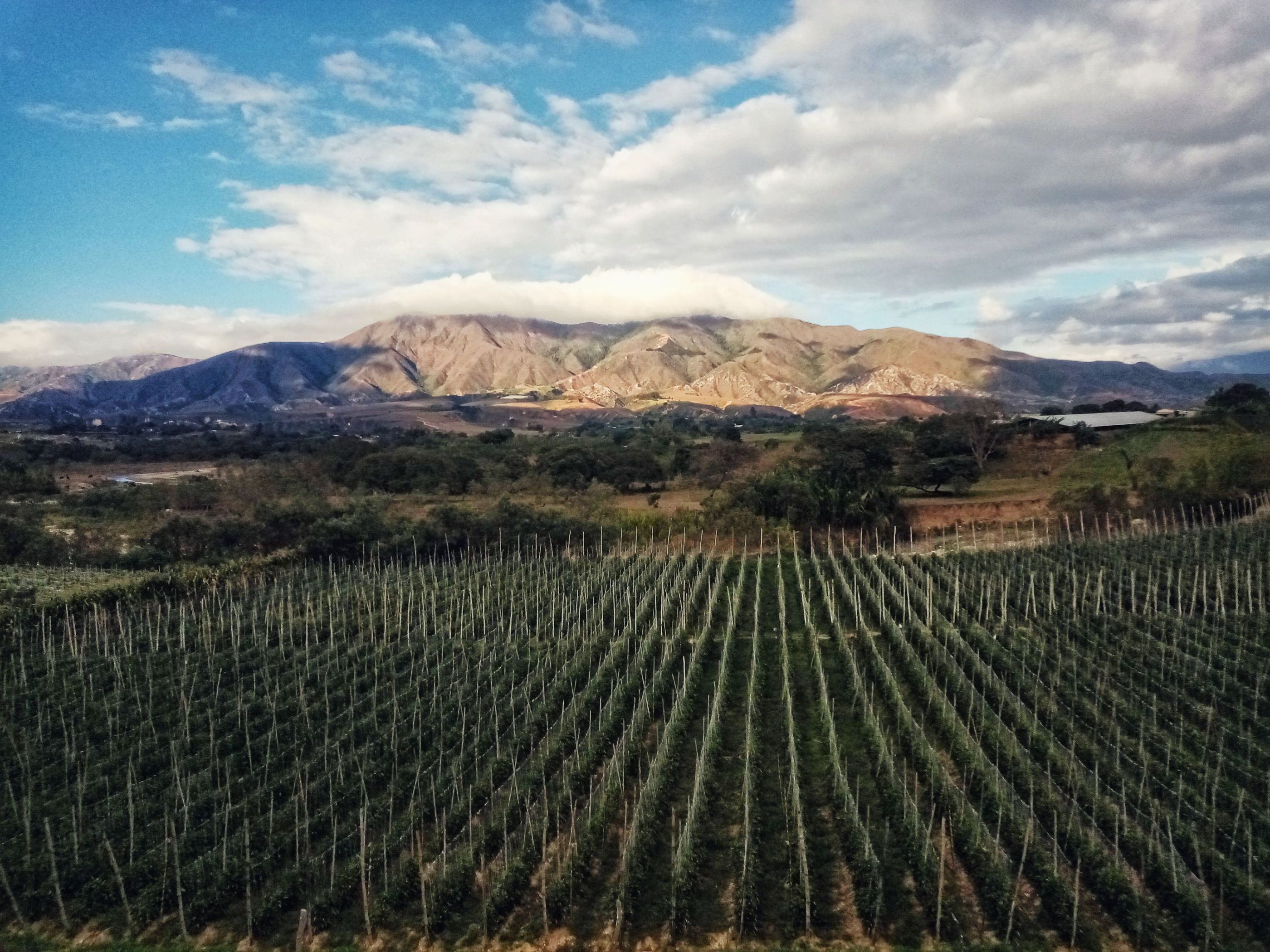 IMG_20220315_165402_DRO-01