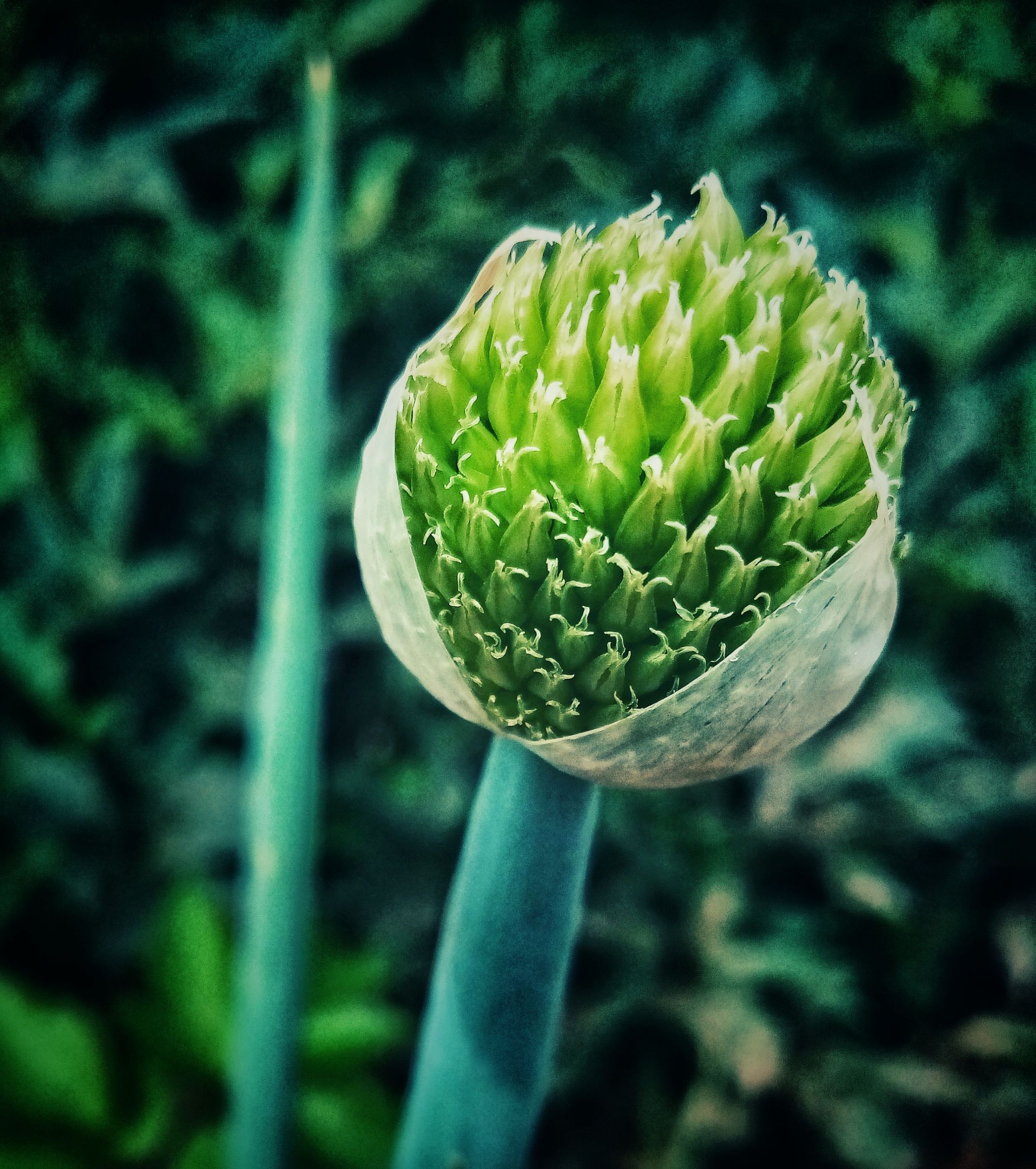 IMG_20220618_081518_DRO-01