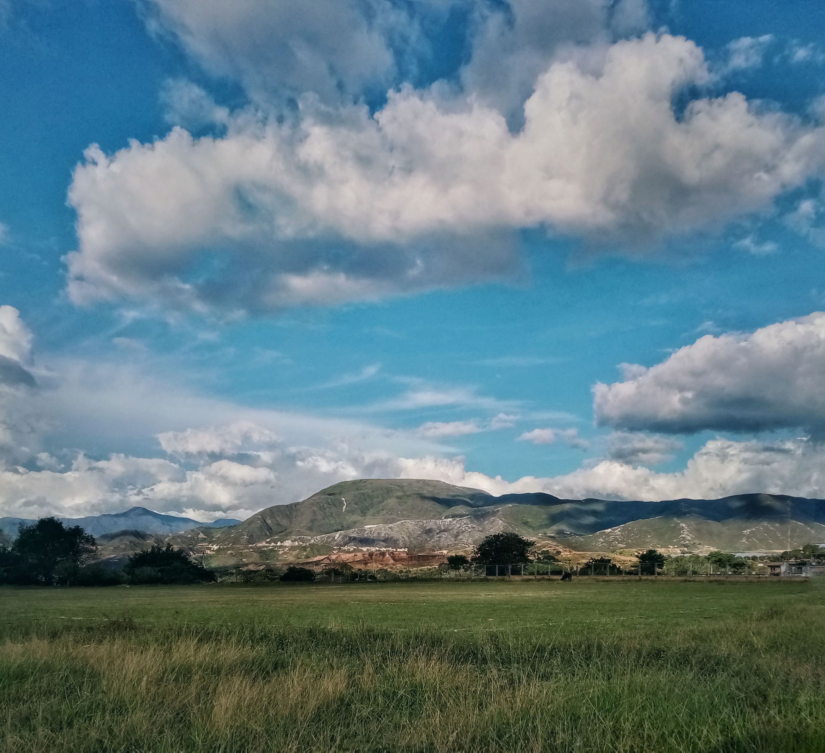 IMG_20220719_171057-03