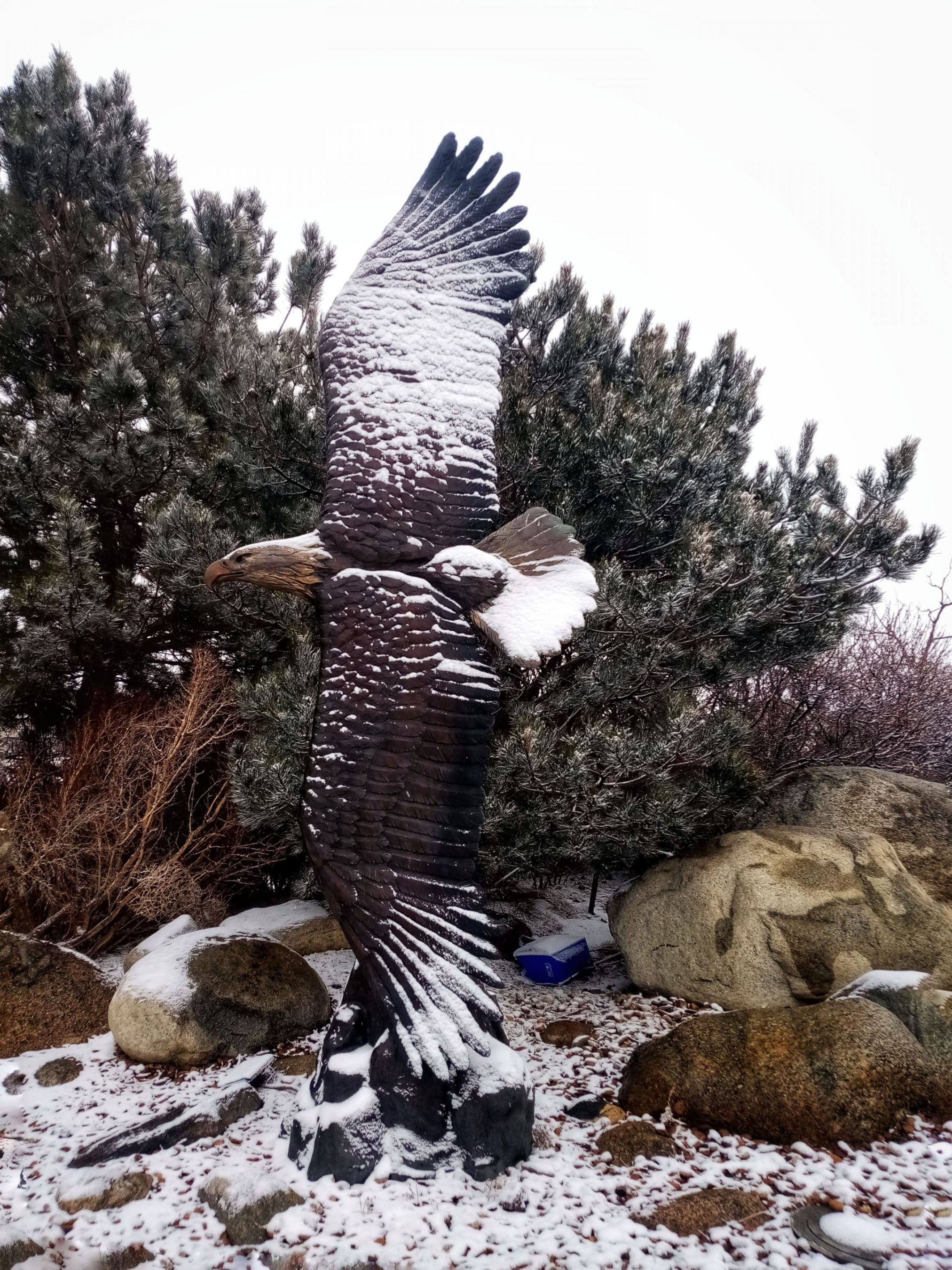 IMG_20230404_085020-01