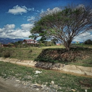 IMG_20210413_102933_DRO-01
