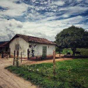 IMG_20210503_095457_DRO-02