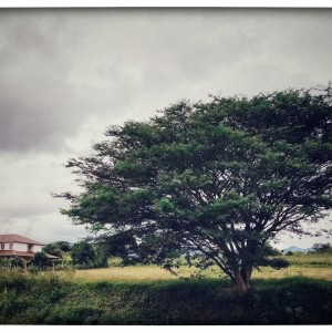 IMG_20211027_095440_DRO-01-01