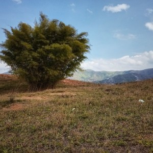 IMG_20220217_133115_DRO-01