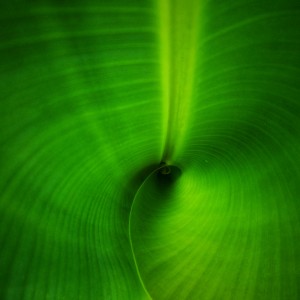 IMG_20220704_105052-01-01