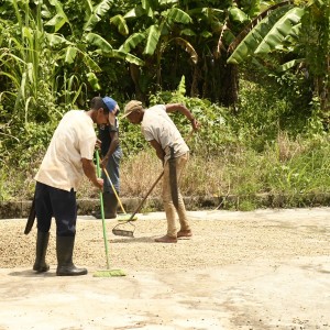 SECADERO