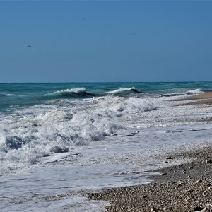 MAR DEL SUR DOMINICANO, PARAISO