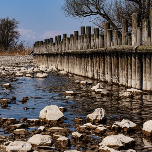 bodensee_gaißau