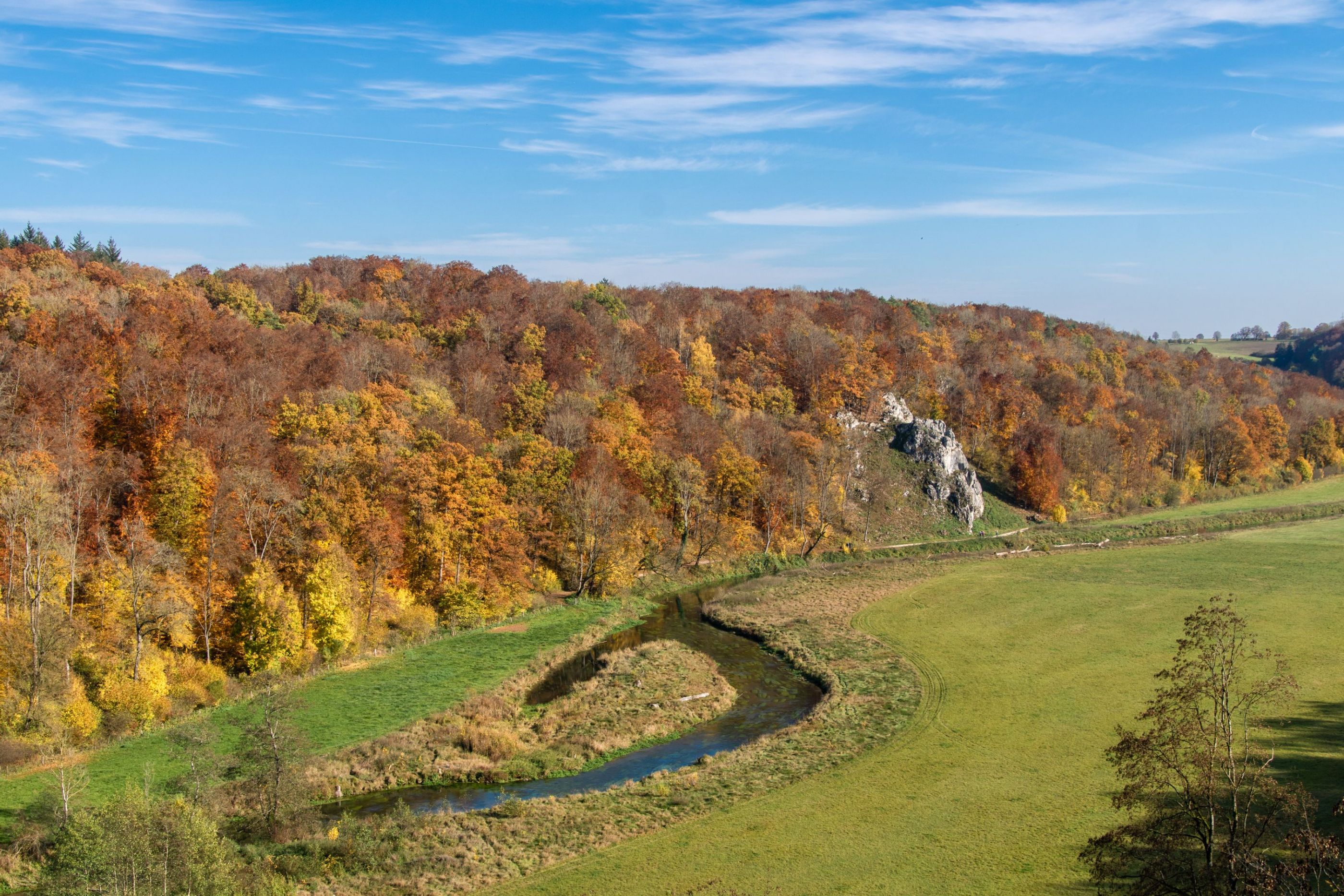 inbound3562824047812793445