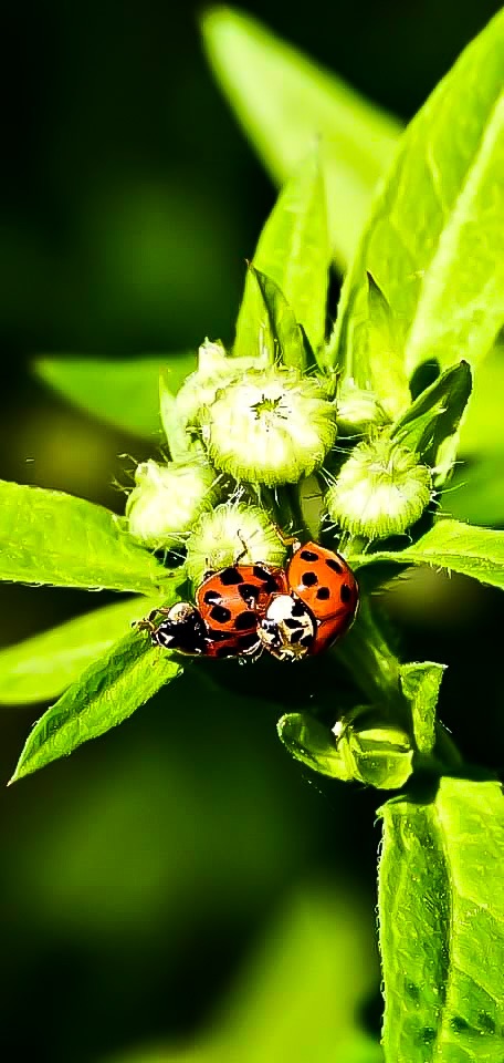 BB3D16E9-39D4-4BE6-AB2D-1AAC7A09A90F