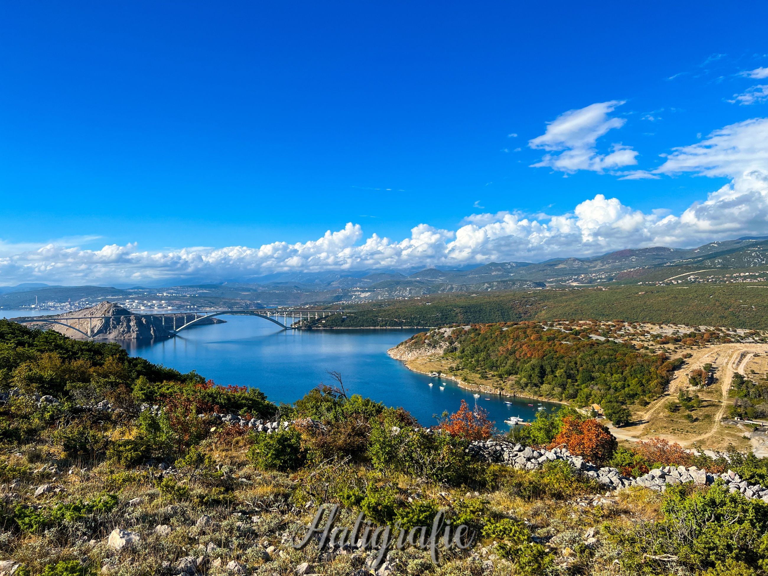 56AA60A4-D898-47AF-AE2D-6789EE510D2F