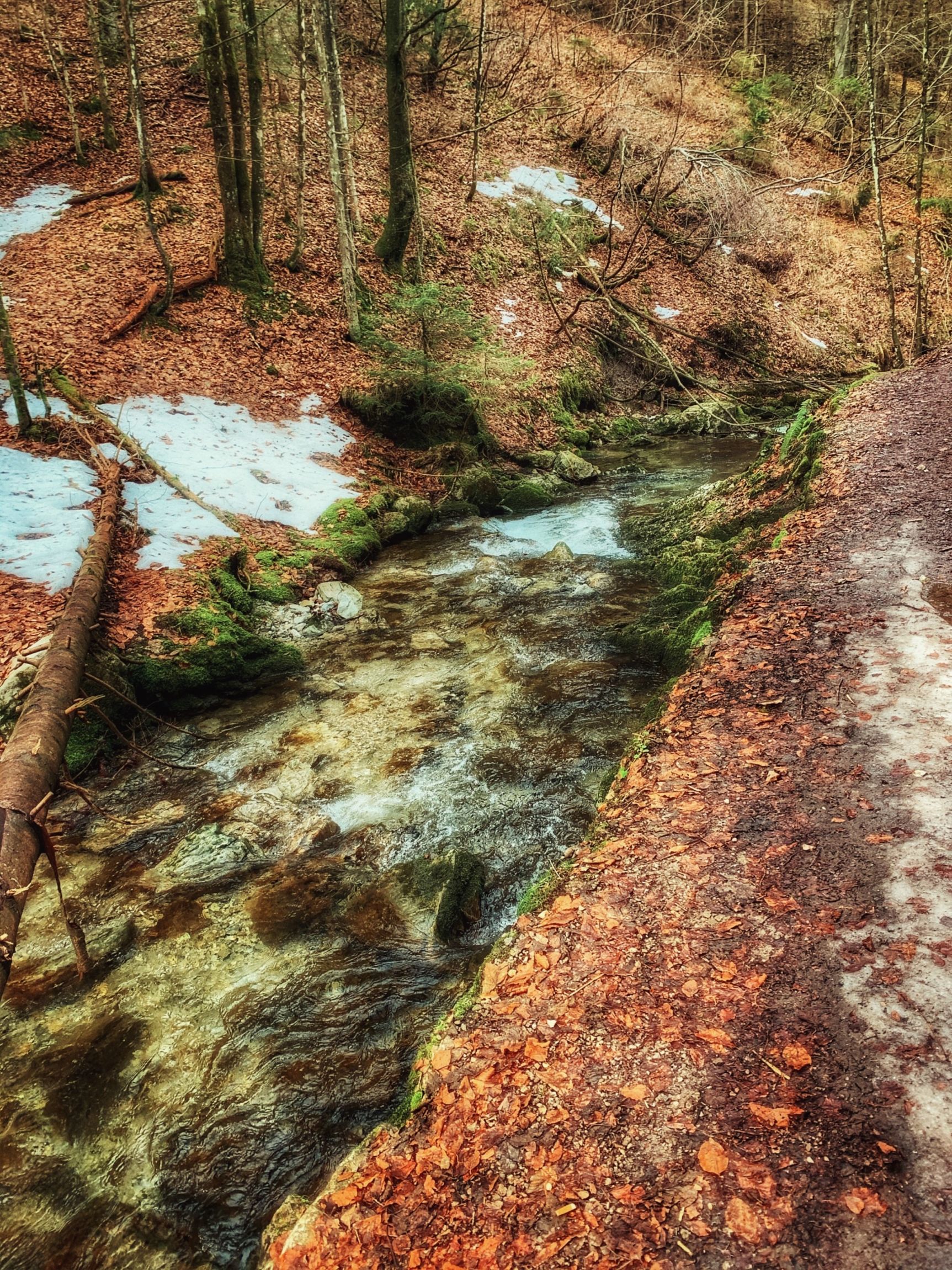 2D734F76-231A-4AFA-9764-B2317C7E31AA