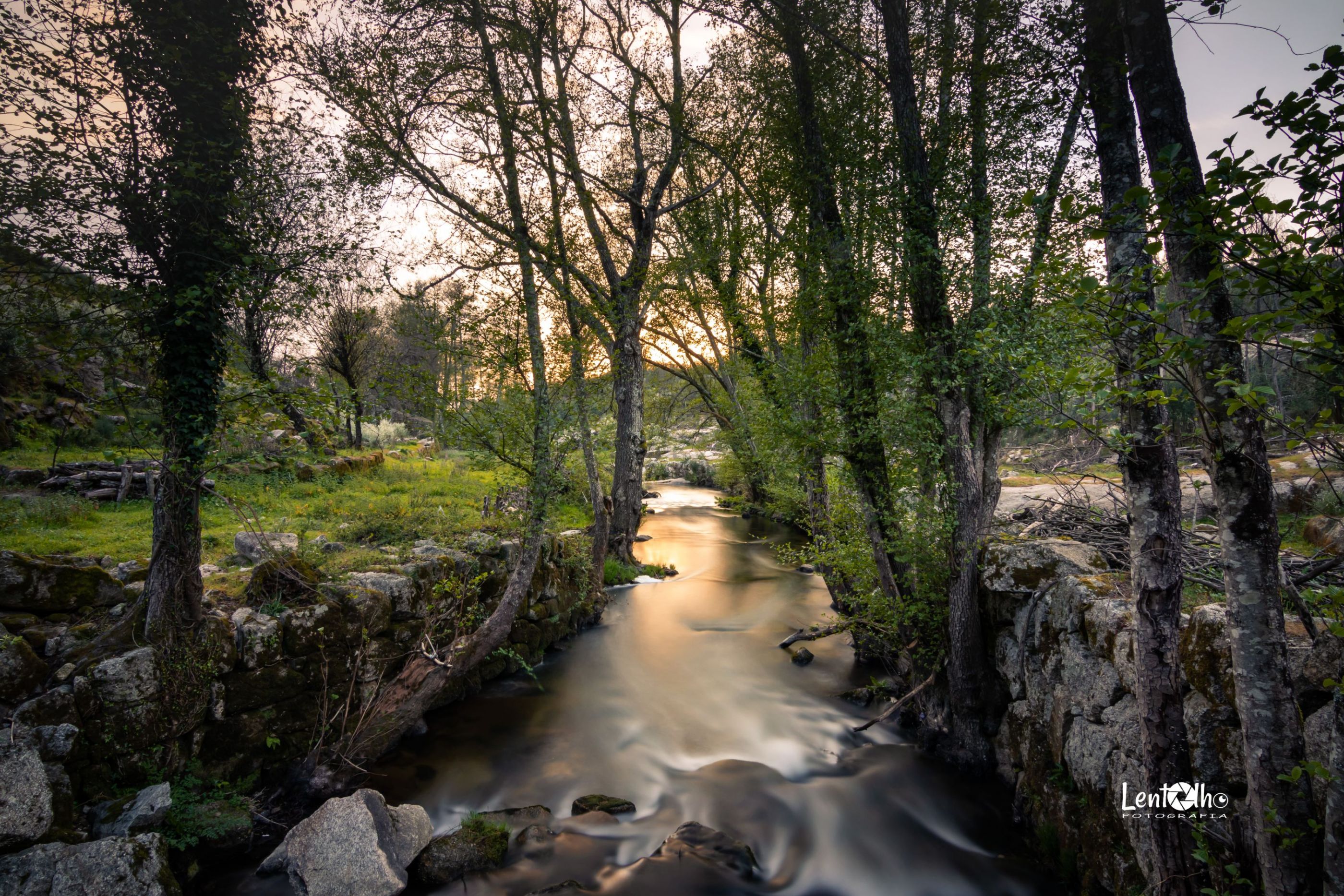 Pereiro - Portugal