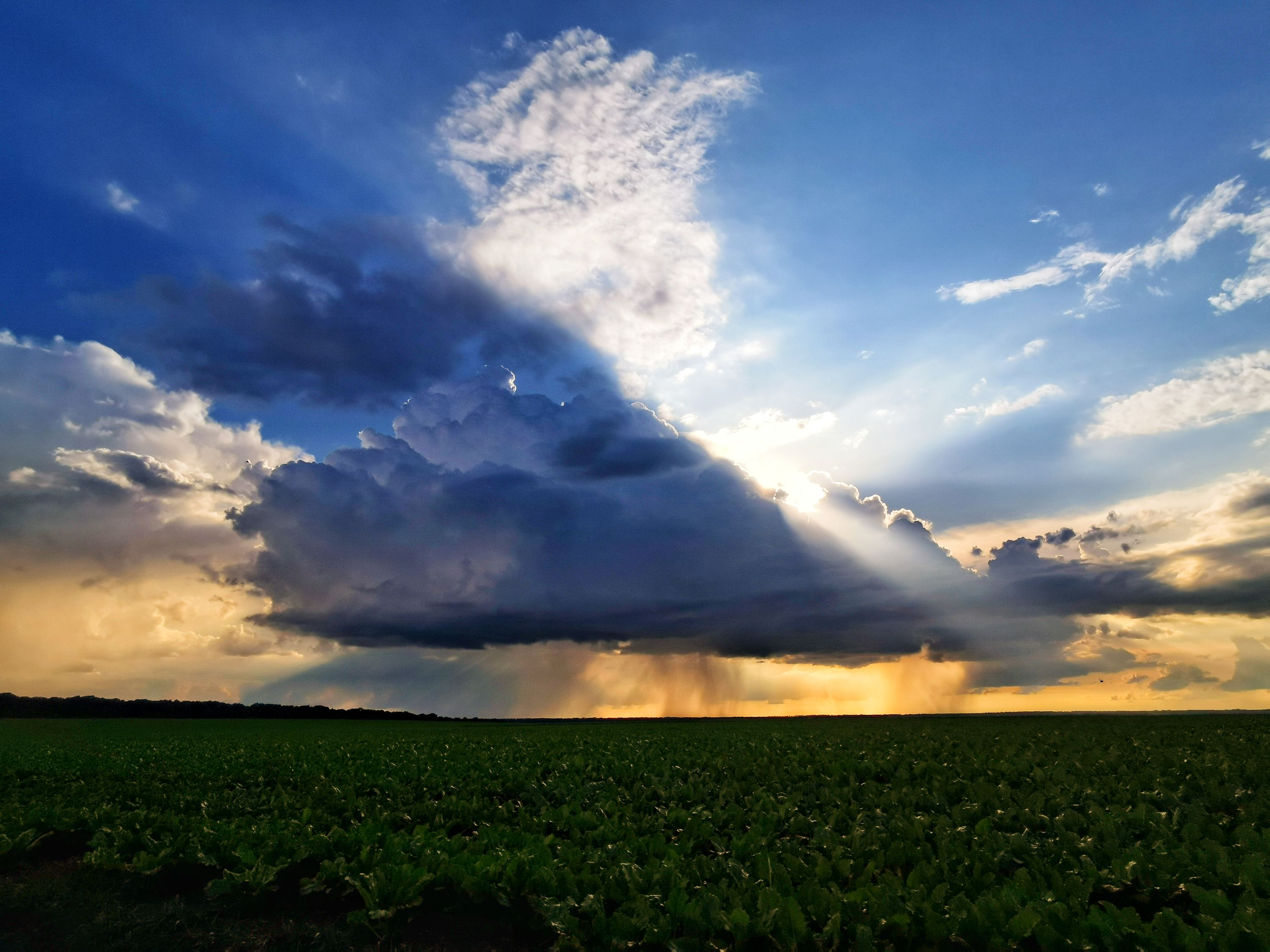 IMG_20200623_191101-01