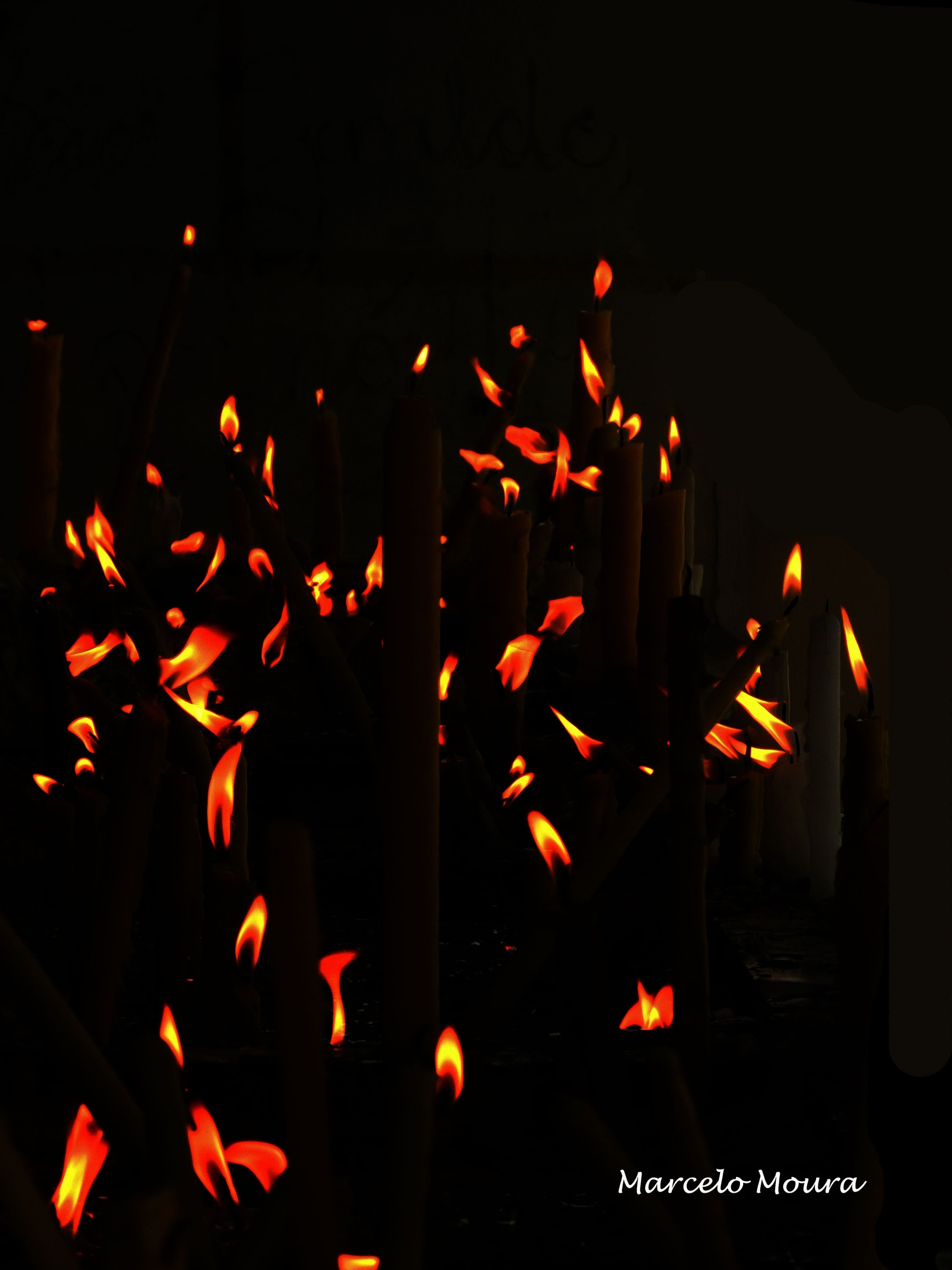 DSCN0144z