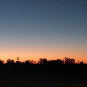 Skyline