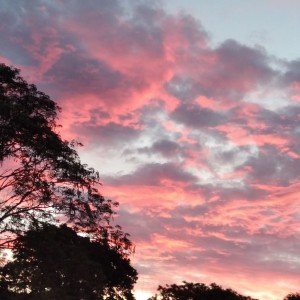 Entardecer