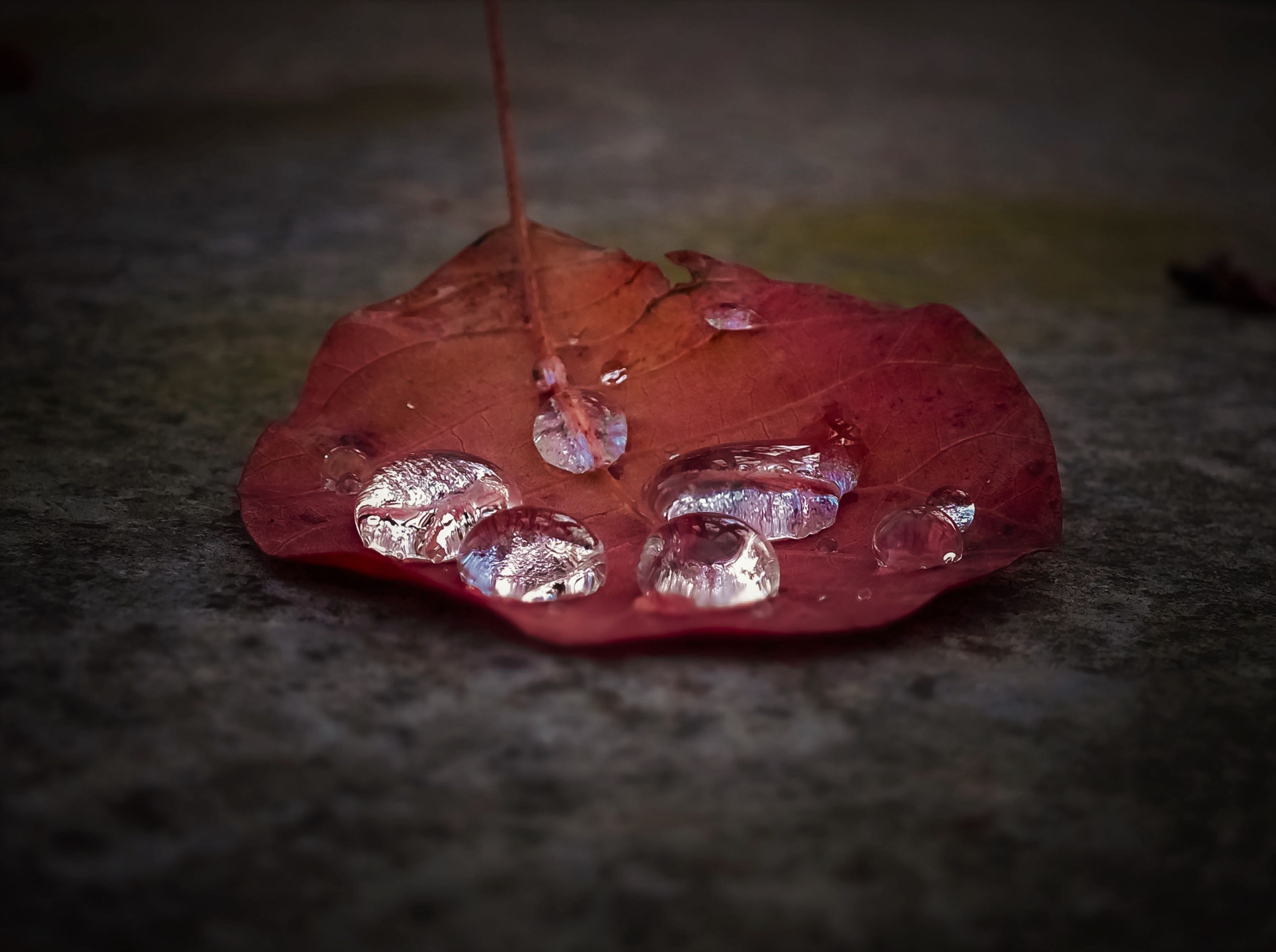 DSCF0339