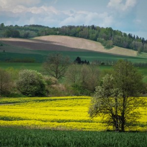 DSCF0694