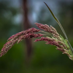 DSCF0038