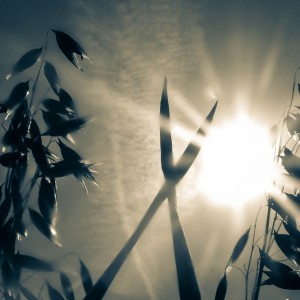 DSCF0097