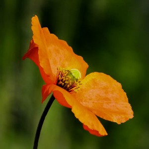 DSCF0071