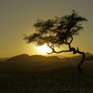 _DSC3092WS_1