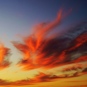 _DSC8259WS