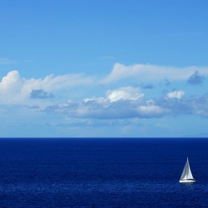 _DSC8711WS